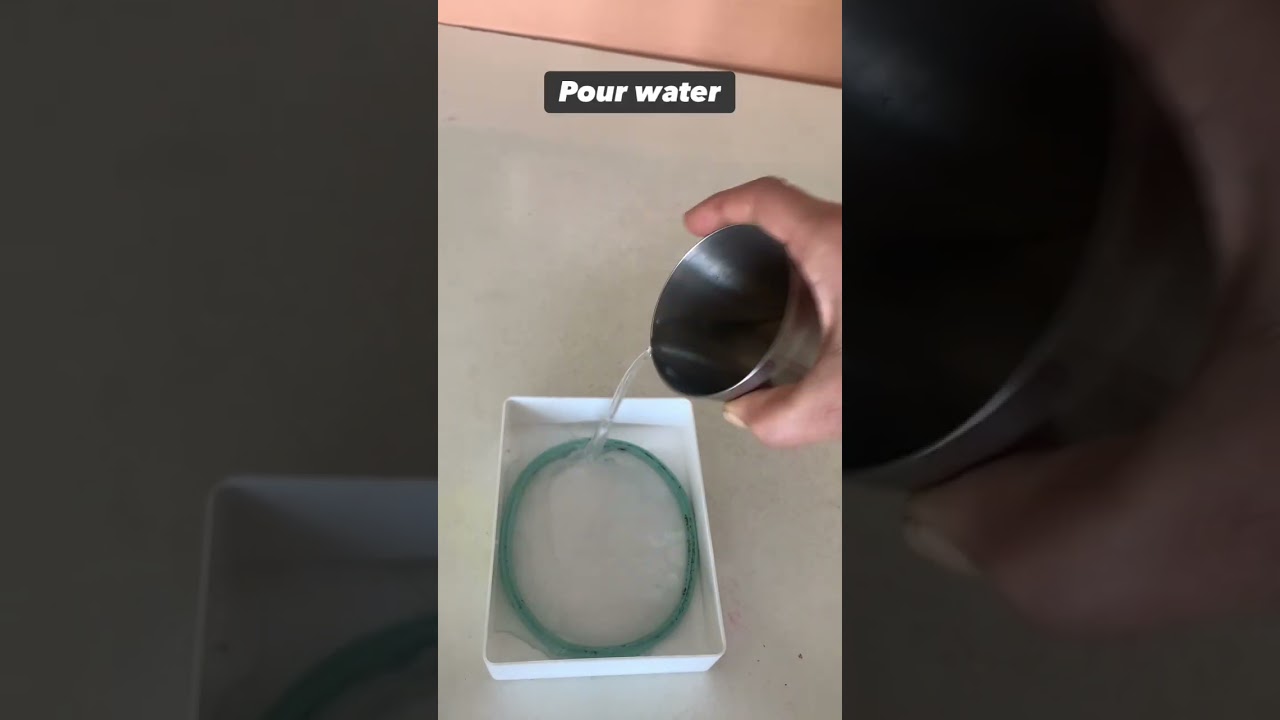 useful kitchen tip | how to clean the gasket of a container #shorts #ytshorts # tips and tricks