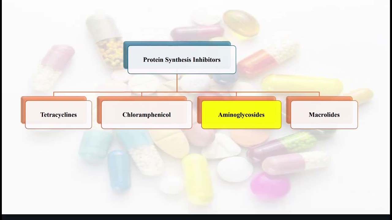 Medicinal I Lec. 4 P2 + 5 Antibiotics 