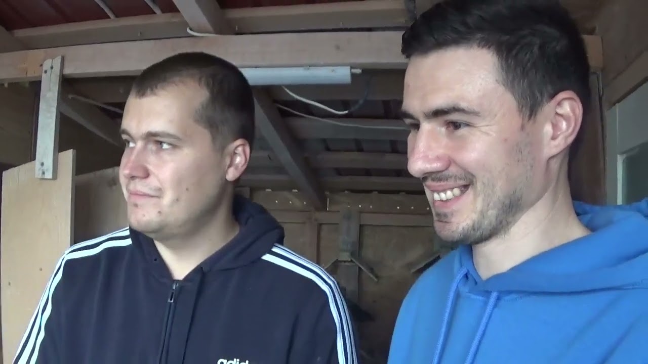 Tandem columbofil Tules Denis si Cernat Adrian Prahova Romania femele reproductie  6 nov 2022
