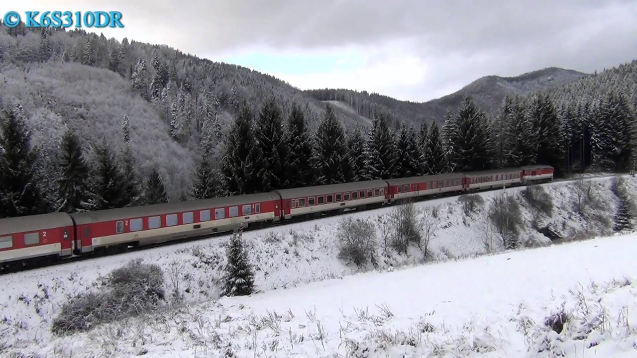 ČD 754 019 & PSŽ 770 602 & ZSSK 757 017 + 754 033