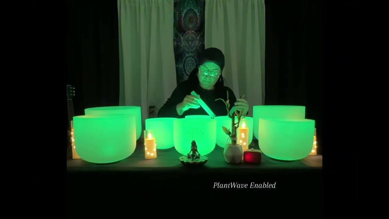 PlantWave x Singing Bowls| Live Sound Bath Session
