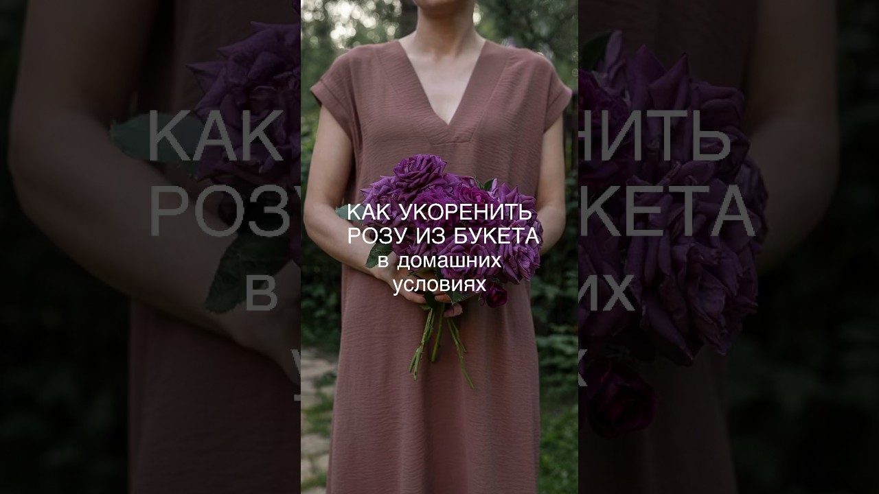Проверенный способ укоренения розы! Черенкование розы из букета. #черенкованиероз #укоренение #розы