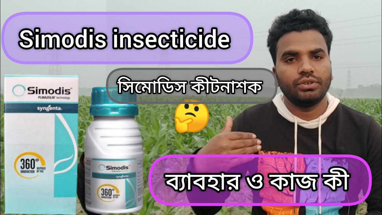 syngenta simodis insecticide 🐛🐛 সিমোডিস কীটনাশক 🚿🚿 ব্যাবহার ও কাজ✔️