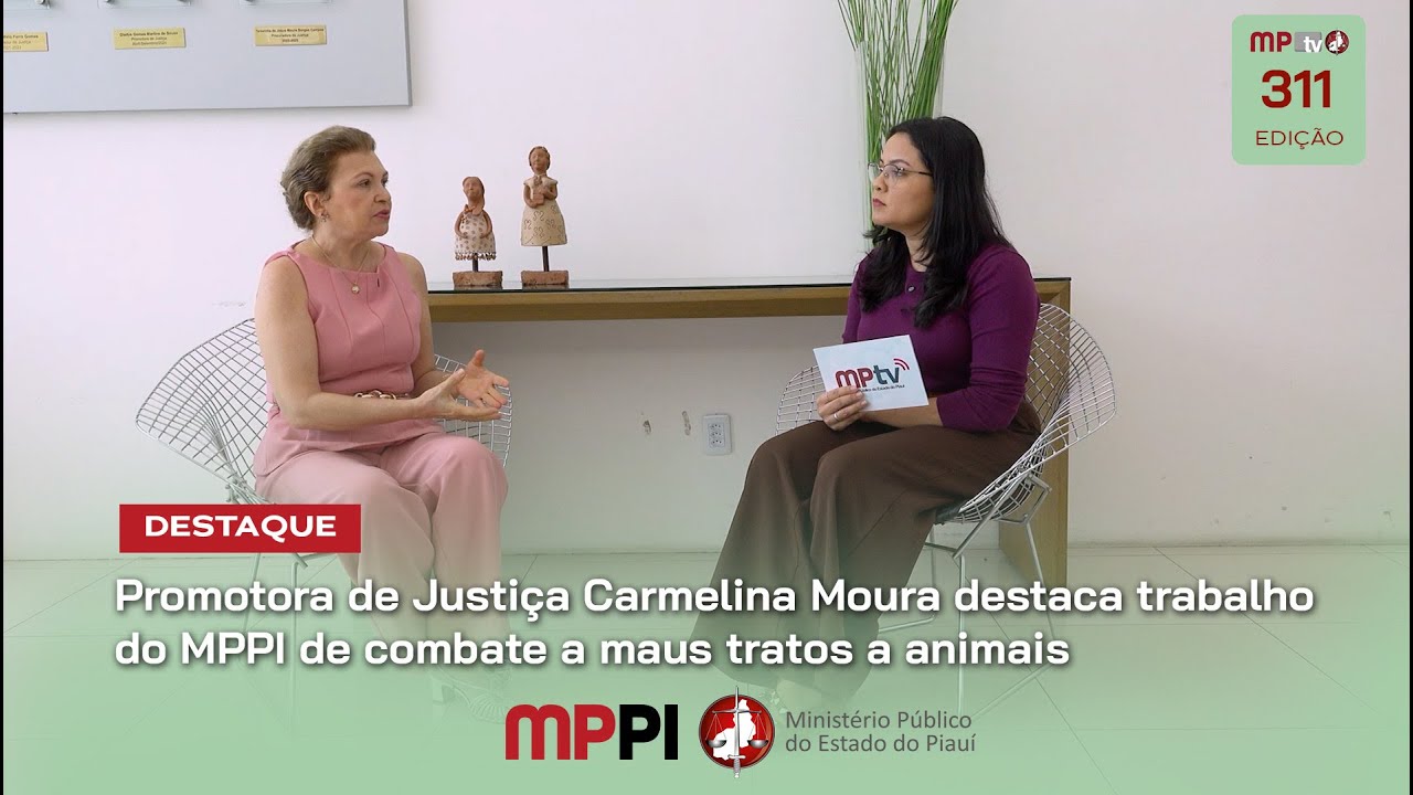 Programa MPTV (311ª Edição)