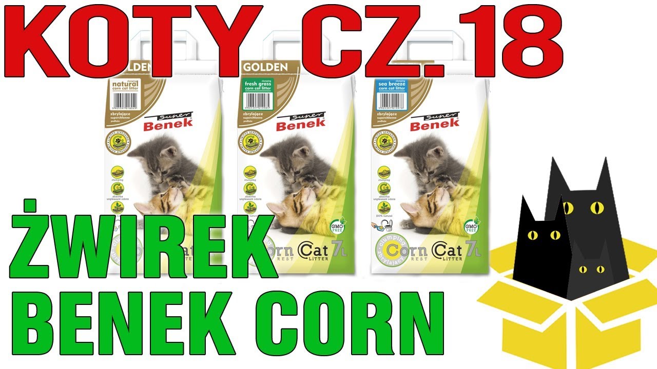Koty odcinek  18 test żwirku Benek Corn - w końcu coś lepszego od Cats Best