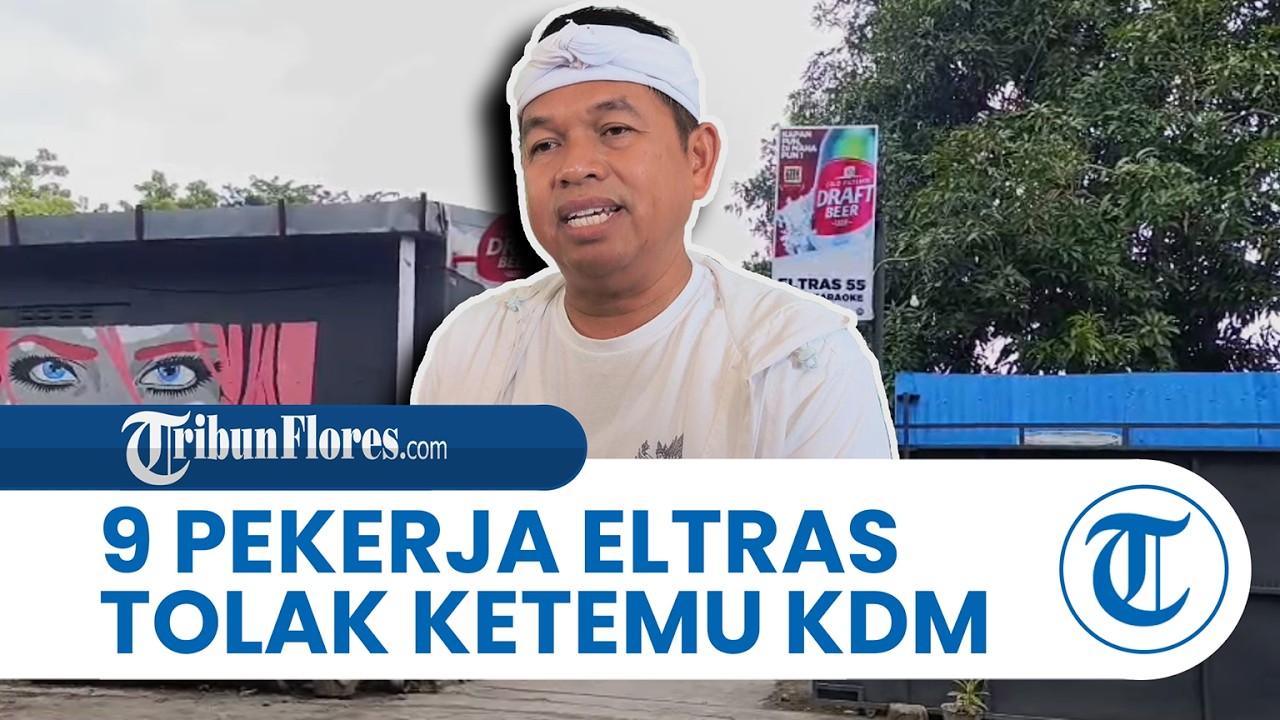 9 Pekerja Eltras Pub Maumere Tolak Bertemu Gubernur Jabar Dedi Mulyadi, Dua Sedang Hamil