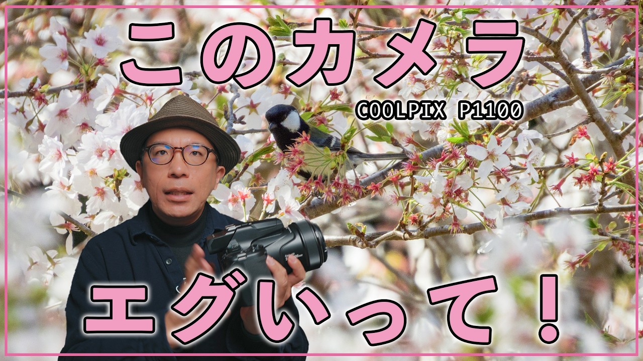 【カメラレビュー】COOLPIX P1100で撮る世界が凄すぎた！