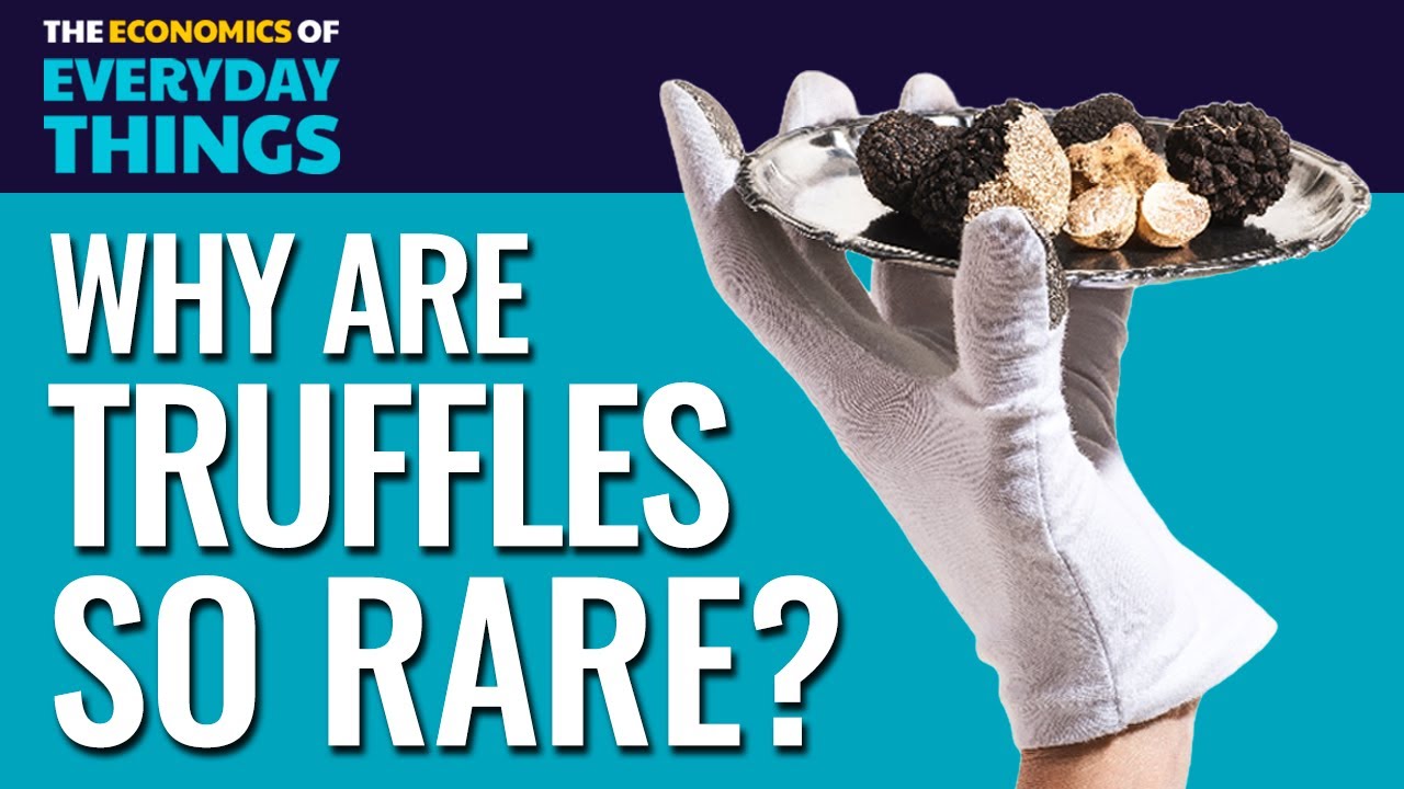 Truffles | The Economics of Everyday Things | Episode 17