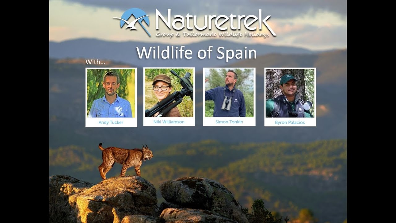 Выездное шоу Naturetrek: Кото-Доняна и царство иберийской рыси