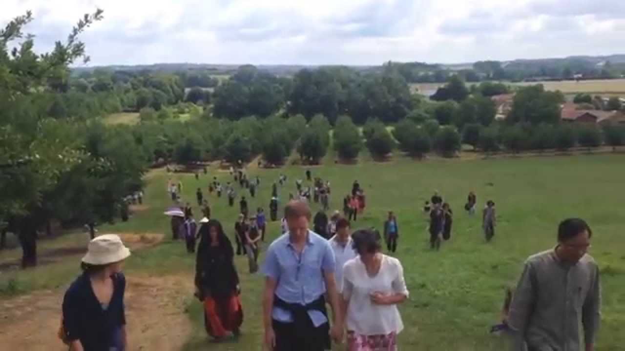 Summer in Plum Village