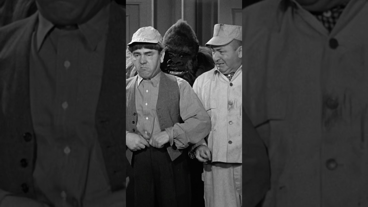 The THREE STOOGES go ape!