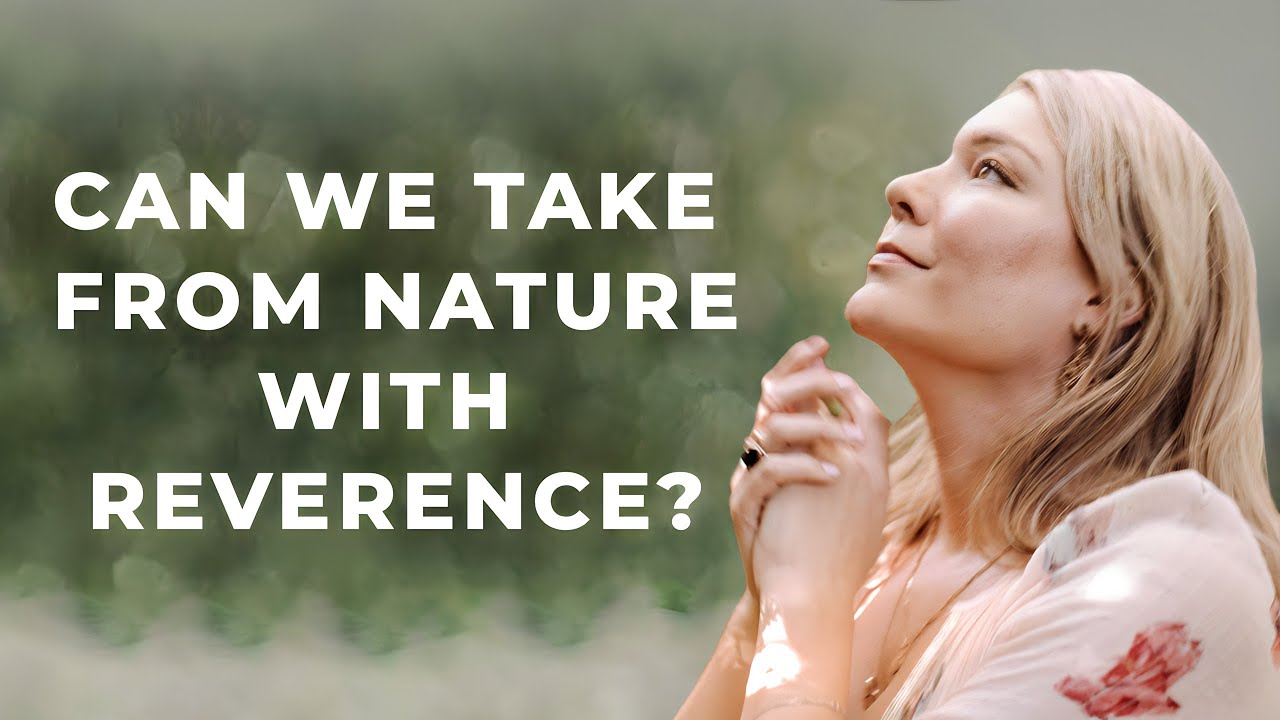 Nature, Reverence & Reciprocity &mdash; How to Receive Without Harm
