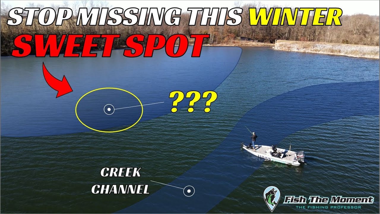 The BEST Way to Catch Big Winter Bass
