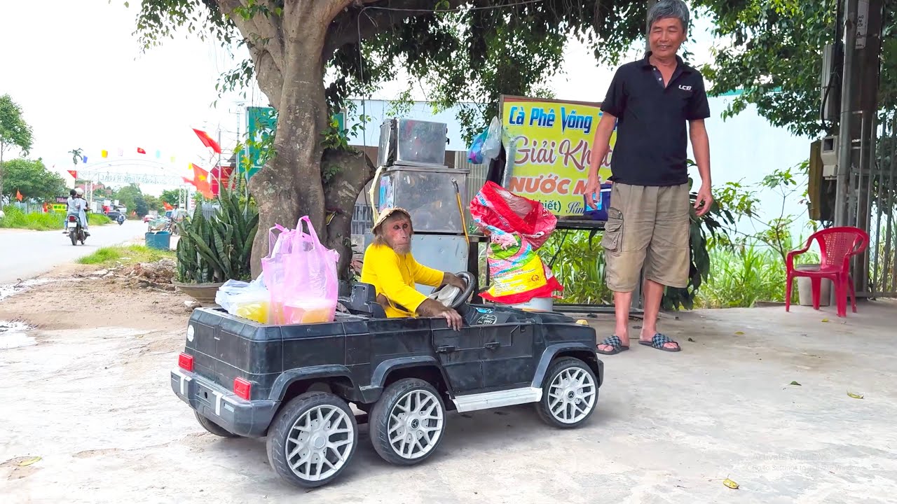 So Sweet 😂 CUTIS Drives His “Supercar” to Buy Sugarcane Juice for Mom
