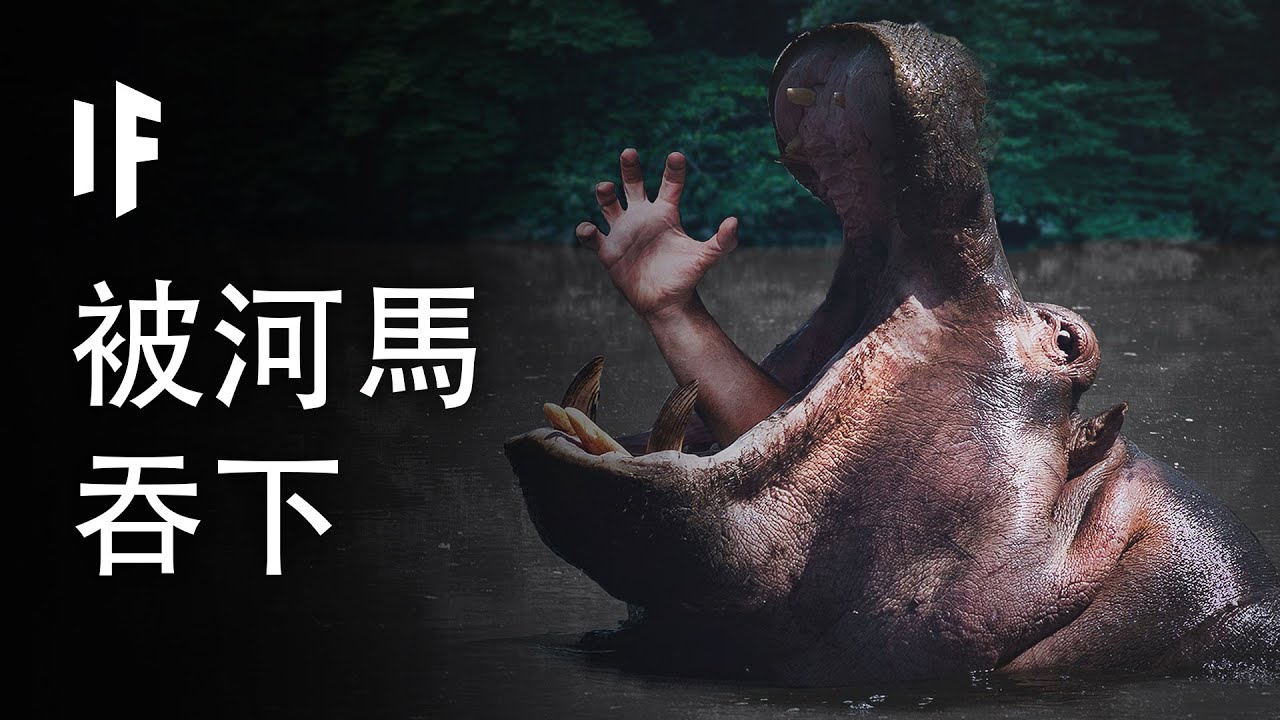 如果你被河馬吞下?【中配】｜大膽科學