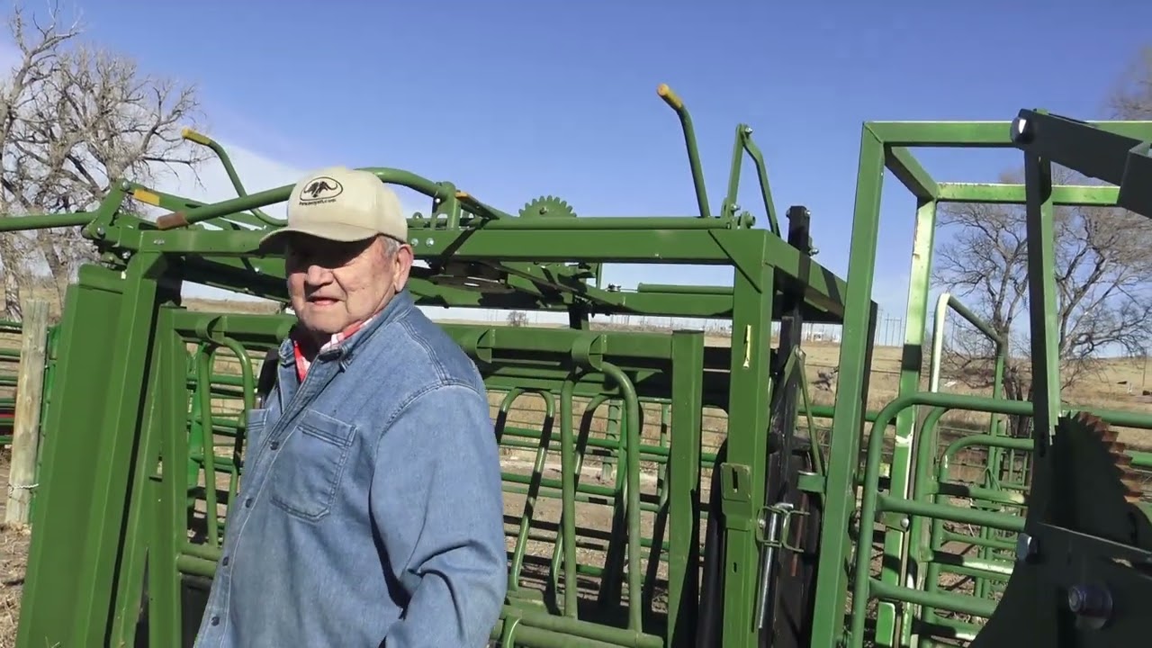 Branding calves
