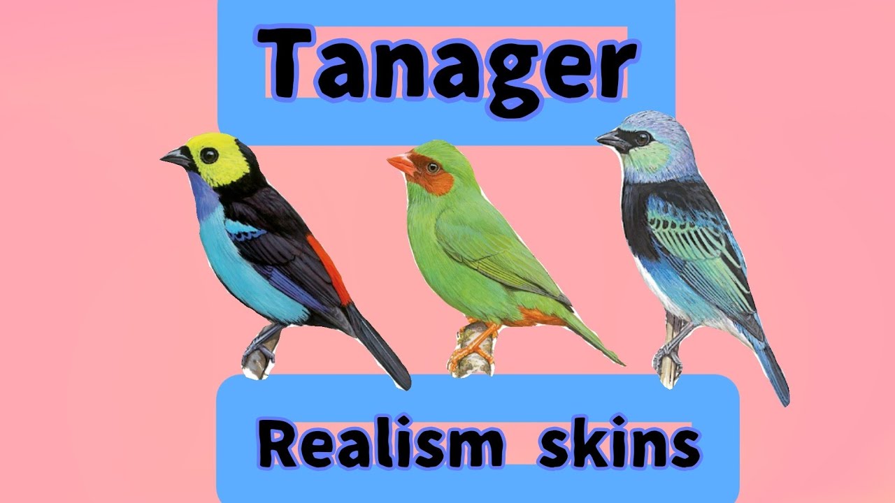 How to make realism skins for 5 different tanagers in Feather Family