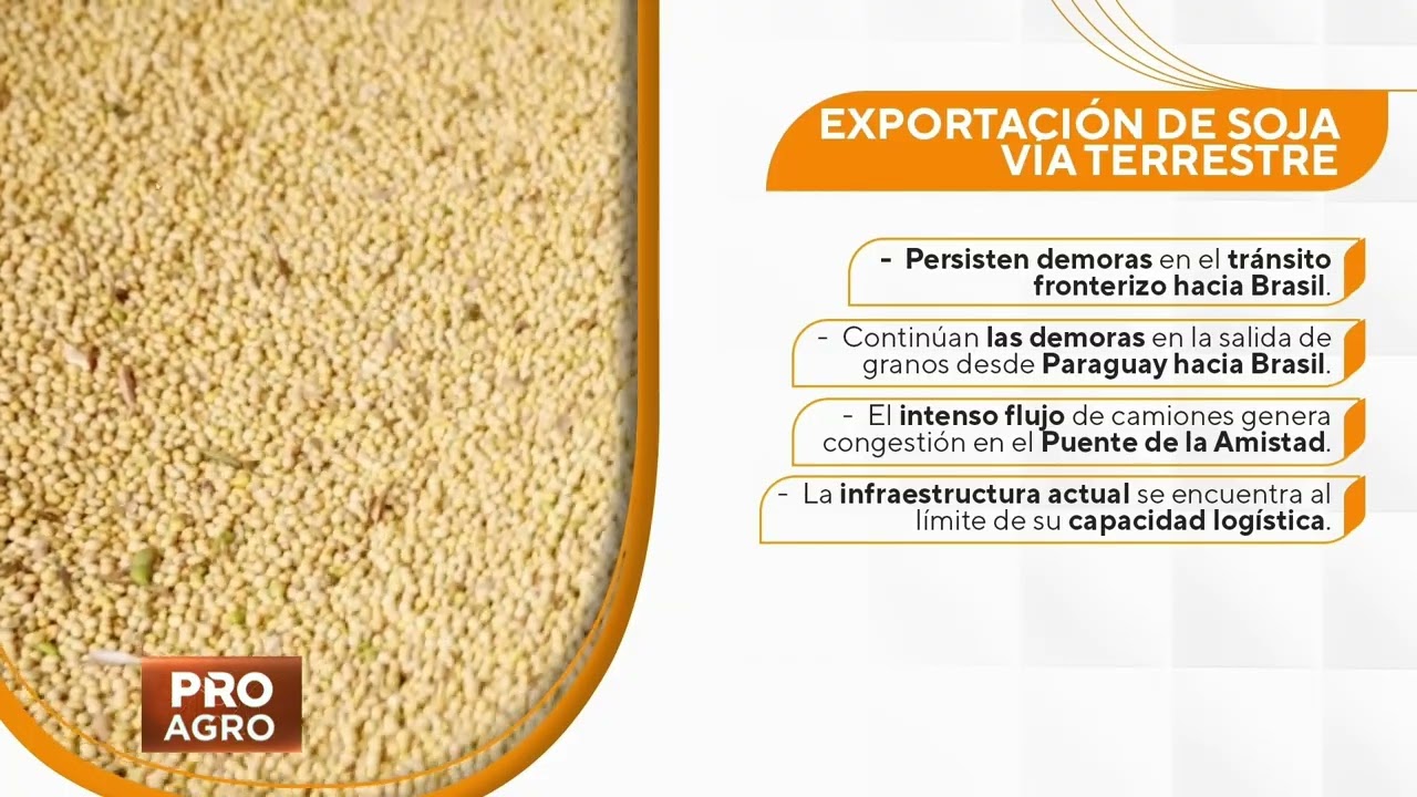 Exportación de granos vía terrestre