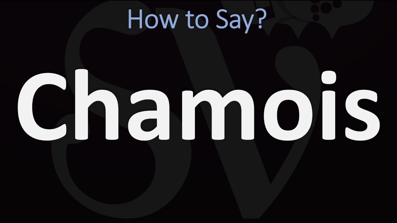 How to Pronounce Chamois? (CORRECTLY)