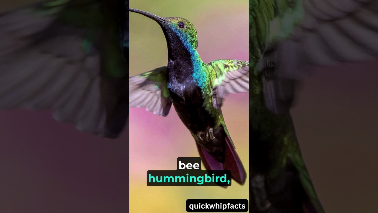Unbelievable Fun Facts to Amaze You | Fun facts | #fact  #facts