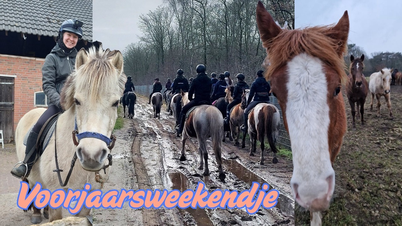 Rc het Fjordenpaard - Voorjaarsweekendje 2026