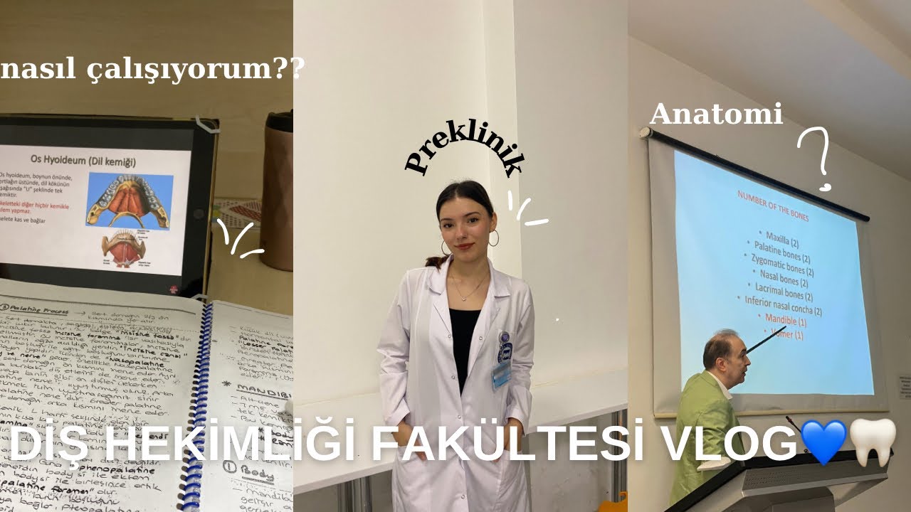 DİŞ HEKİMLİĞİ VLOG 5 || preklinik, gittikçe zorlaşan dersler, sınav tarihleri? 🦷💙🦷