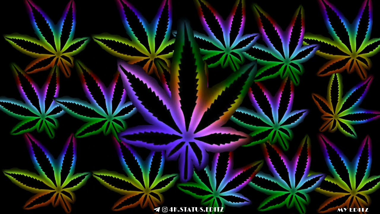 weed queen status video (subscribe for more videos)