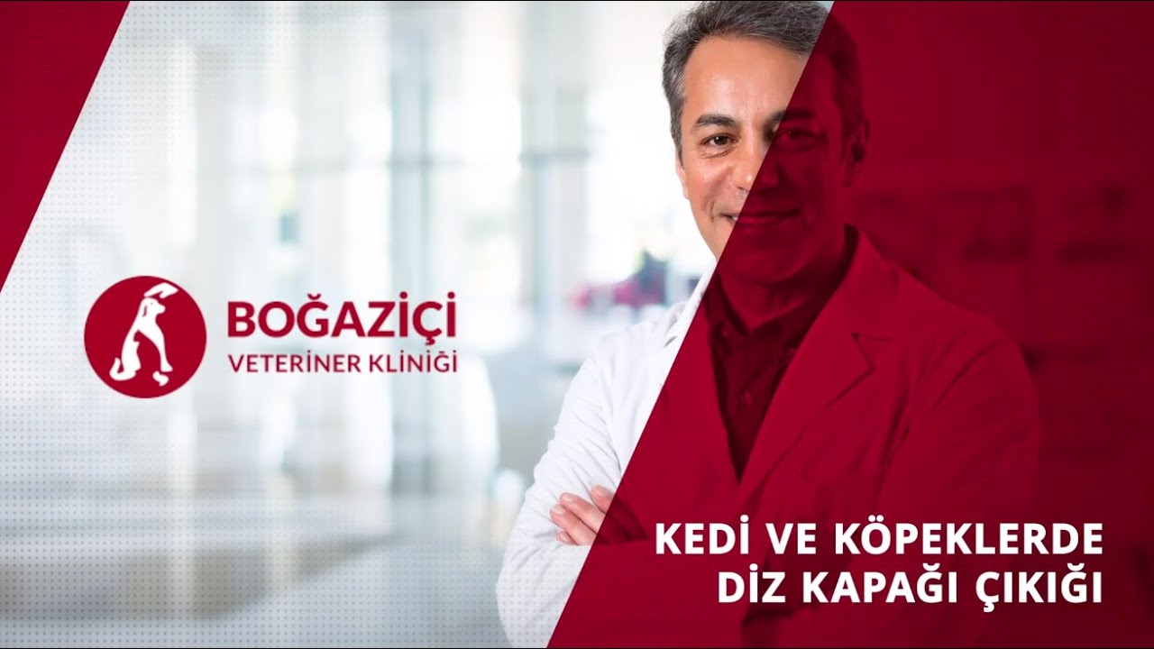 Kedi ve Köpeklerde Diz Kapağı Çıkığı