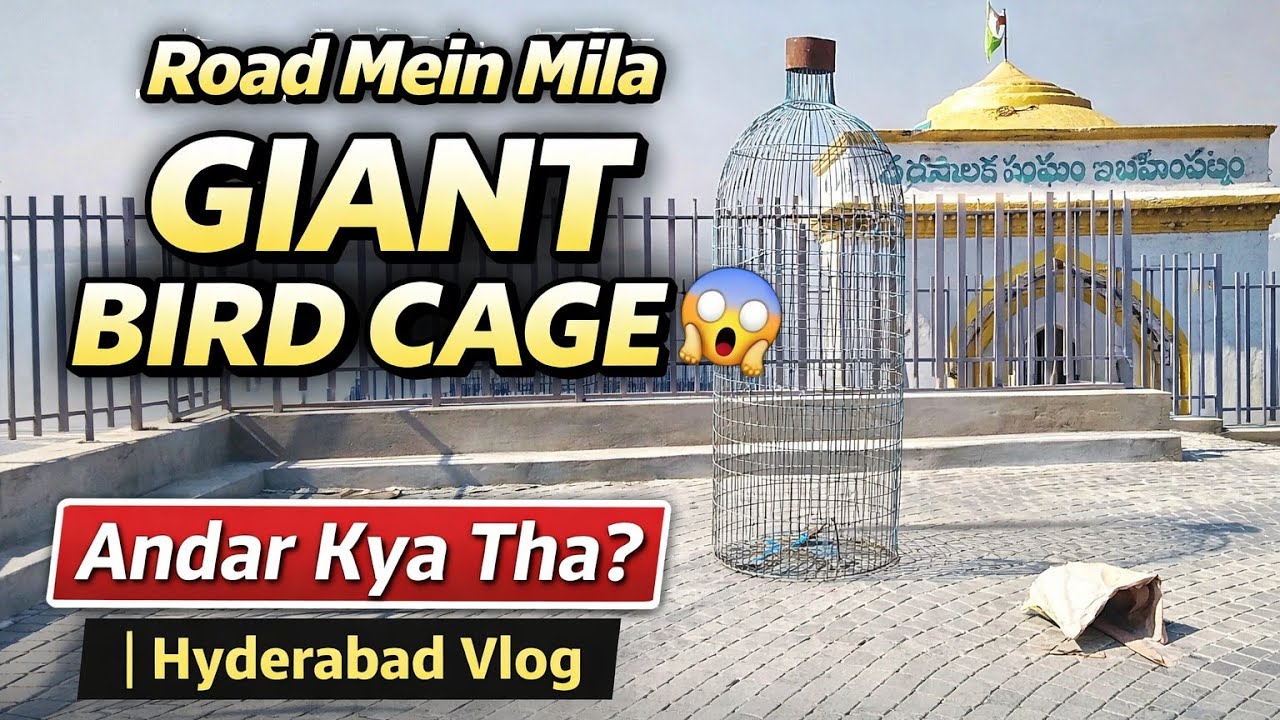 “Itna Bada Bird Cage Pehli Baar Dekha 😱 | Hyderabad Vlog” #minivlog #dailyvideo #vlog #travelvideo