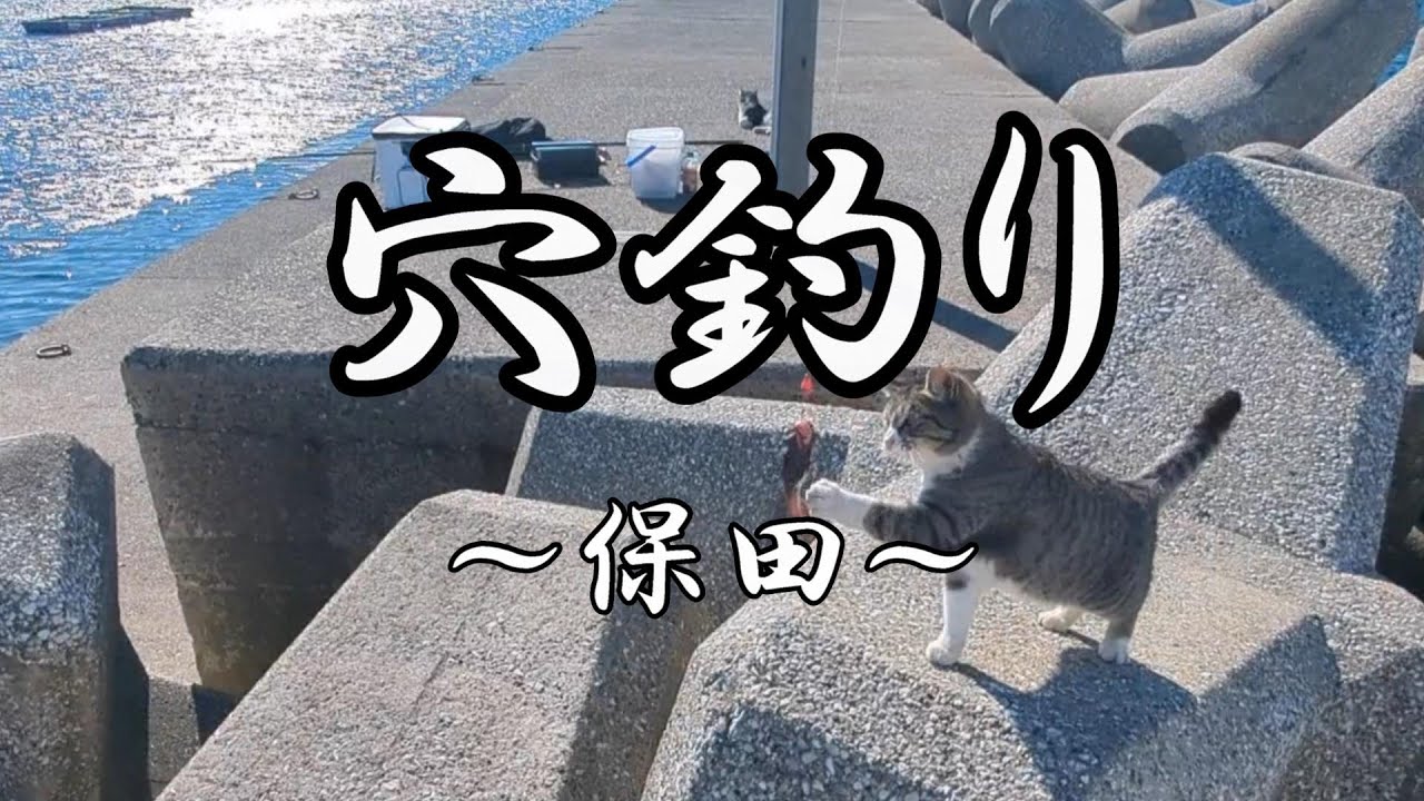 穴釣りと猫【千葉県内房】保田