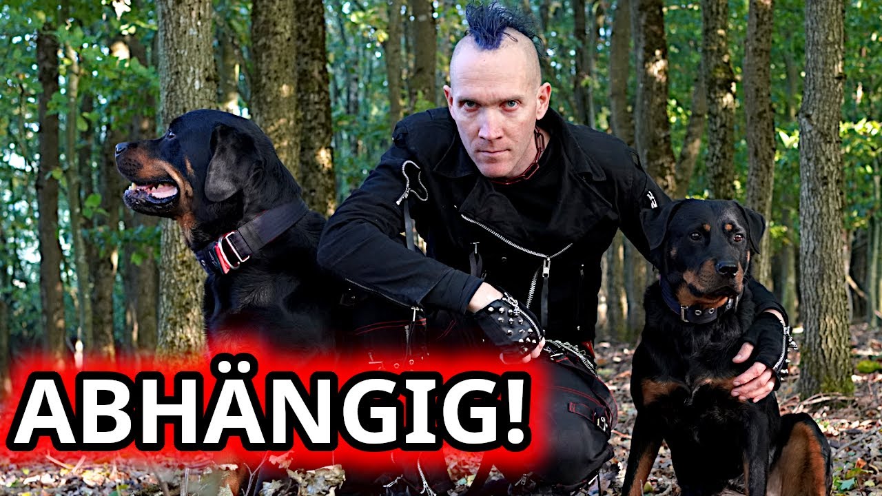 Zu viel Bindung zum Hund macht abhängig – und zerstört eure Beziehung!