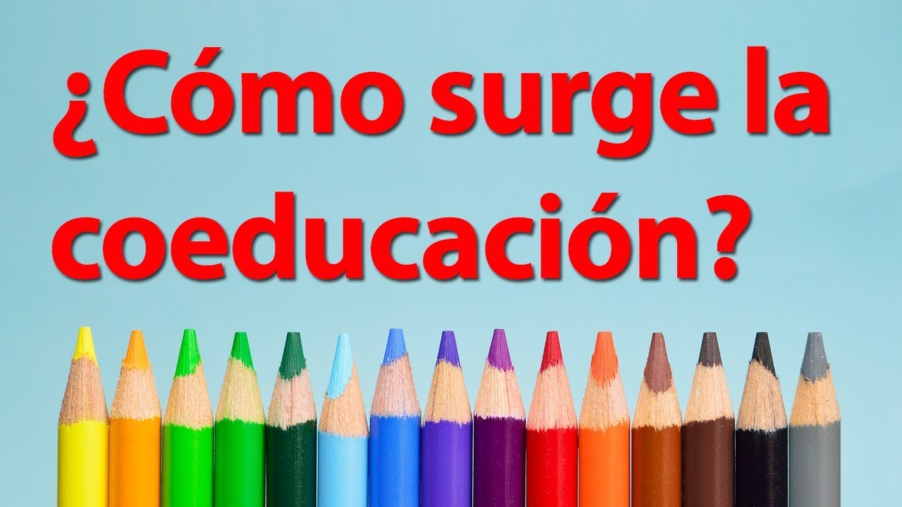 &iquest;C&oacute;mo surge la coeducaci&oacute;n? (Marina Subirats i Martori)