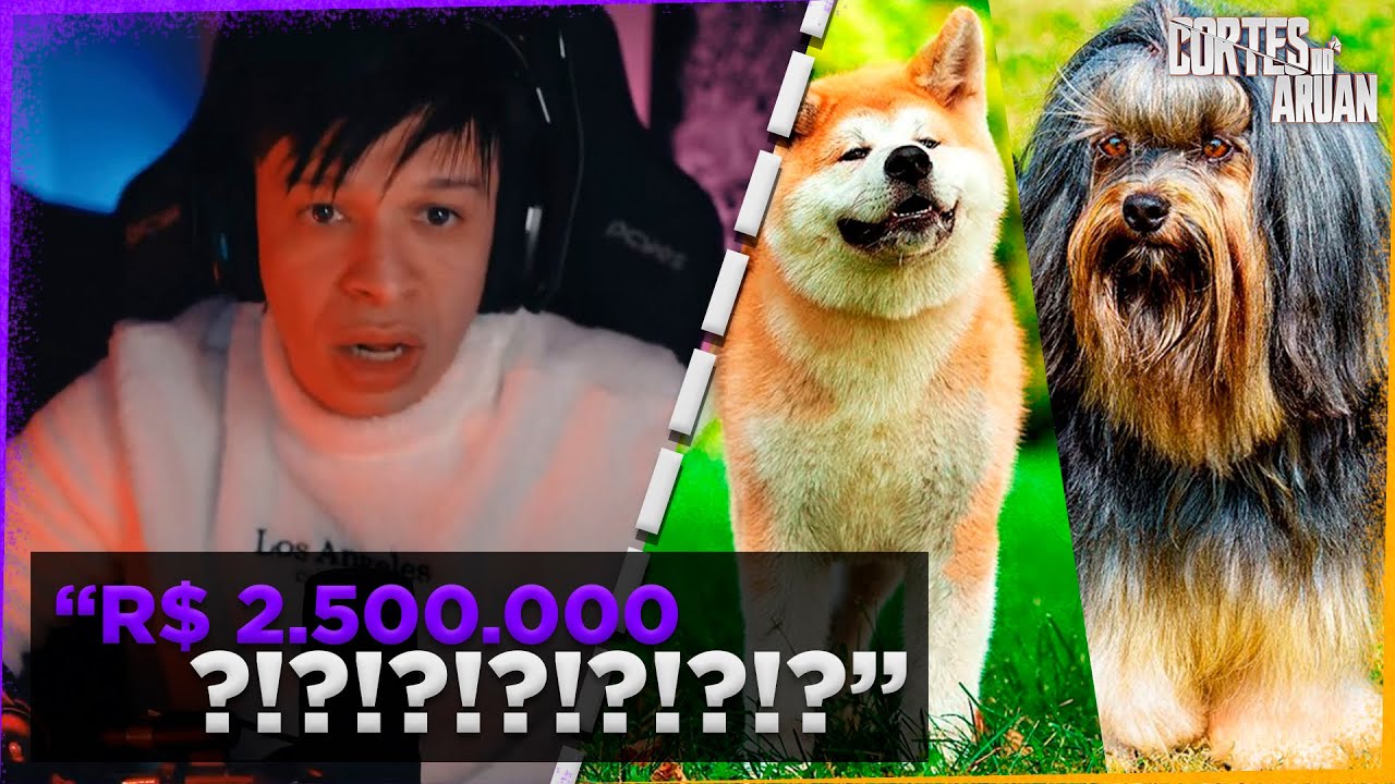 ARUAN REAGE A 20 CACHORROS QUE CUSTAM UMA FORTUNA (INCRÍVEL) - Cortes do Aruan