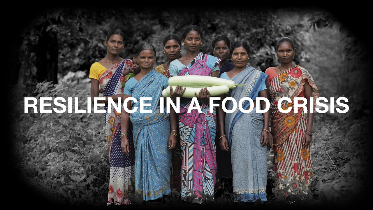 RESILIENCE IN A FOOD CRISIS - PEASANT AND INDIGENOUS PRESS FORUM - 2 AUG 2022