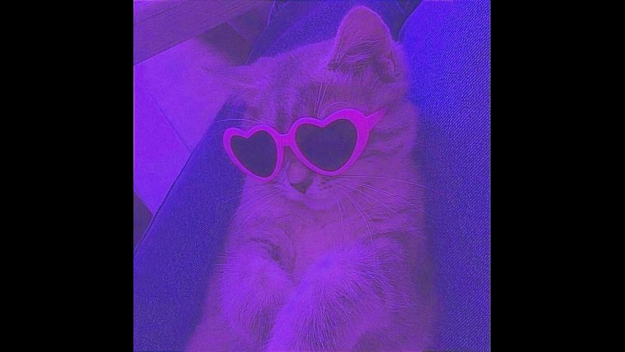 [FREE] Cuco x Mac Demarco Type Beat - 