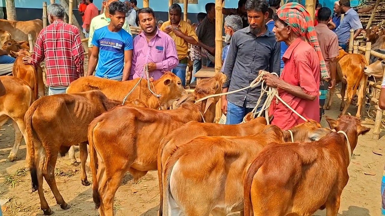 @আজ ৩ মার্চ
