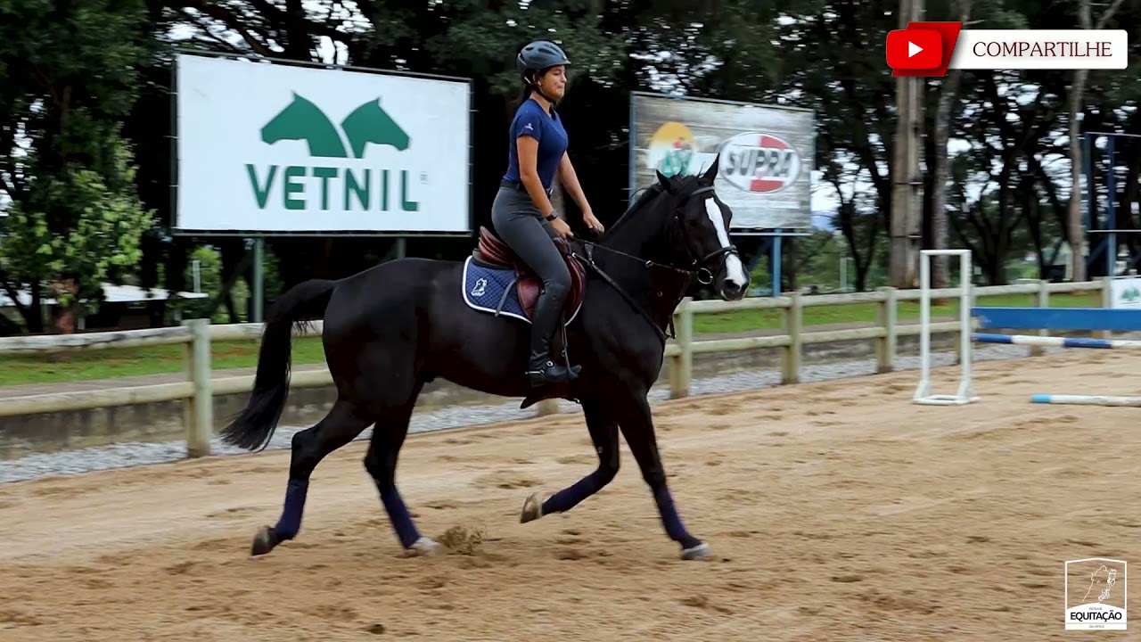 Exercício de controle e equilíbrio