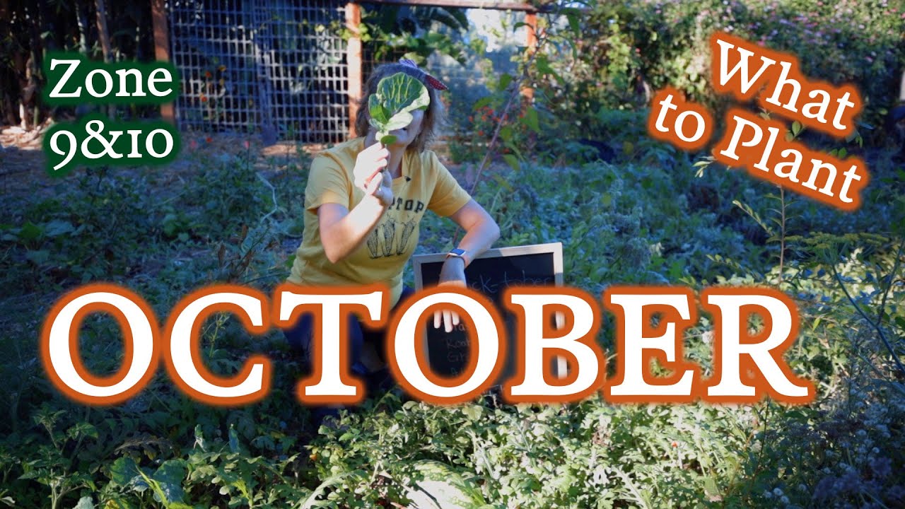 5 Groups of Plants We're Planting in October in Zones 9 & 10