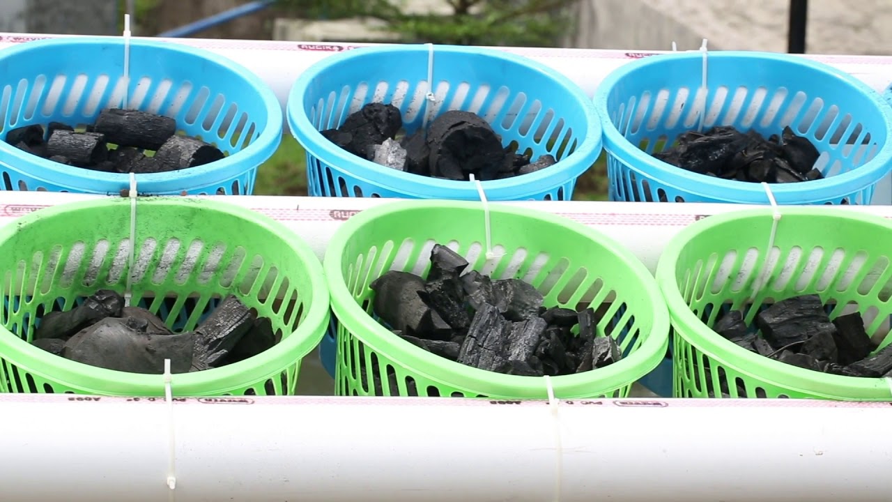 How to build a raft or floating aquaponic system