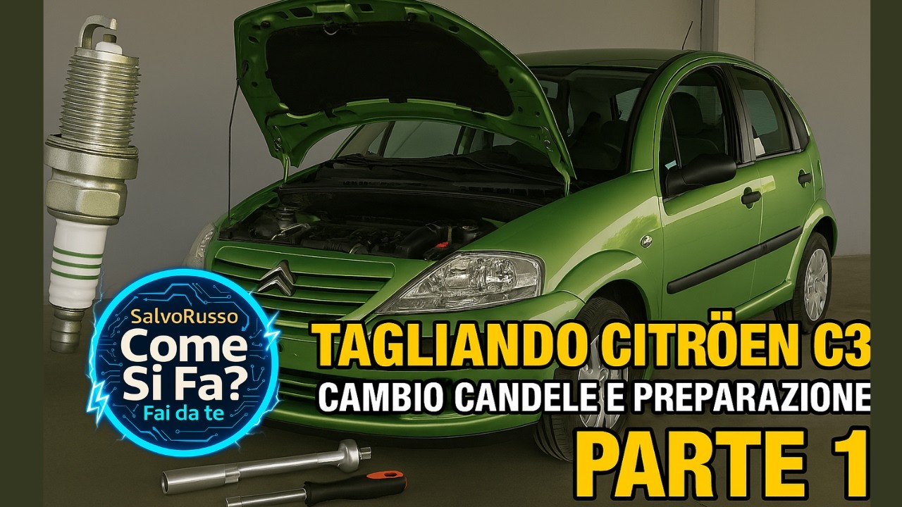 Inizia il Progetto Tagliando: Cambio Candele sulla Mia C3 – Prima Puntata