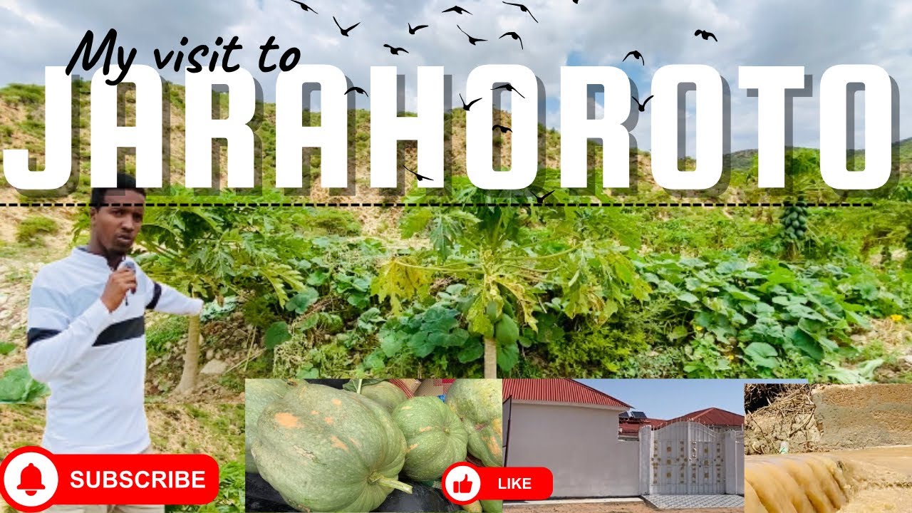 SAFARKAYGII JARAHOROTO || my journey to Jarahoroto🕹️