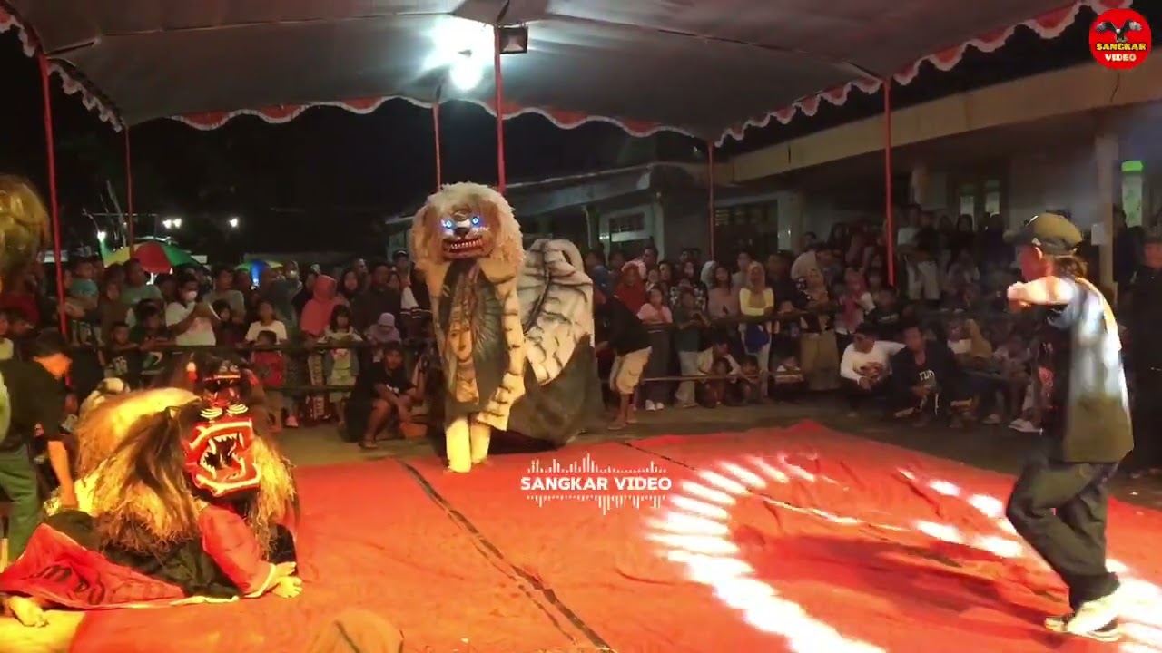 BARONGAN SCB SINGO CIPTO BUDOYO live. Desa Botomulyo cepiring kendal