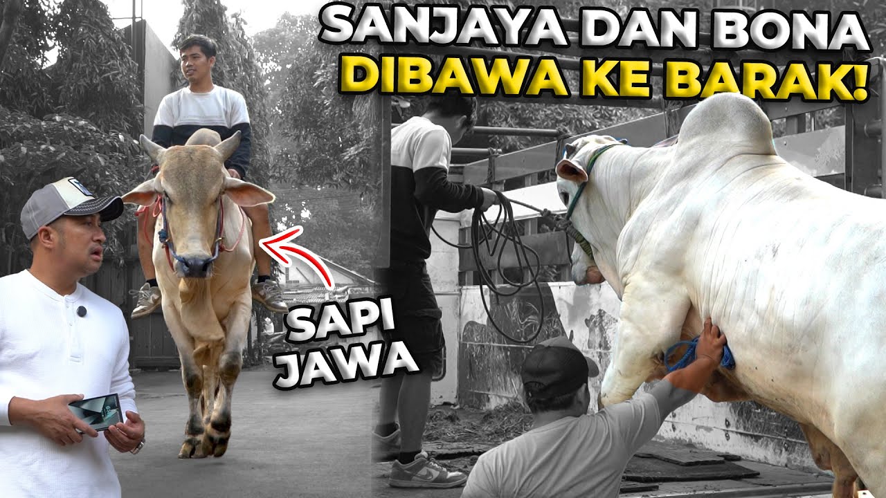 Perpisahan Sanjaya & Bona dari DeHakims, Demi Misi Besar Mereka di Setia Farm!