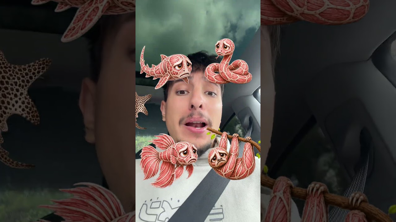 &Icirc;mbrac Animalele Dezbrăcate 😧😓🐅