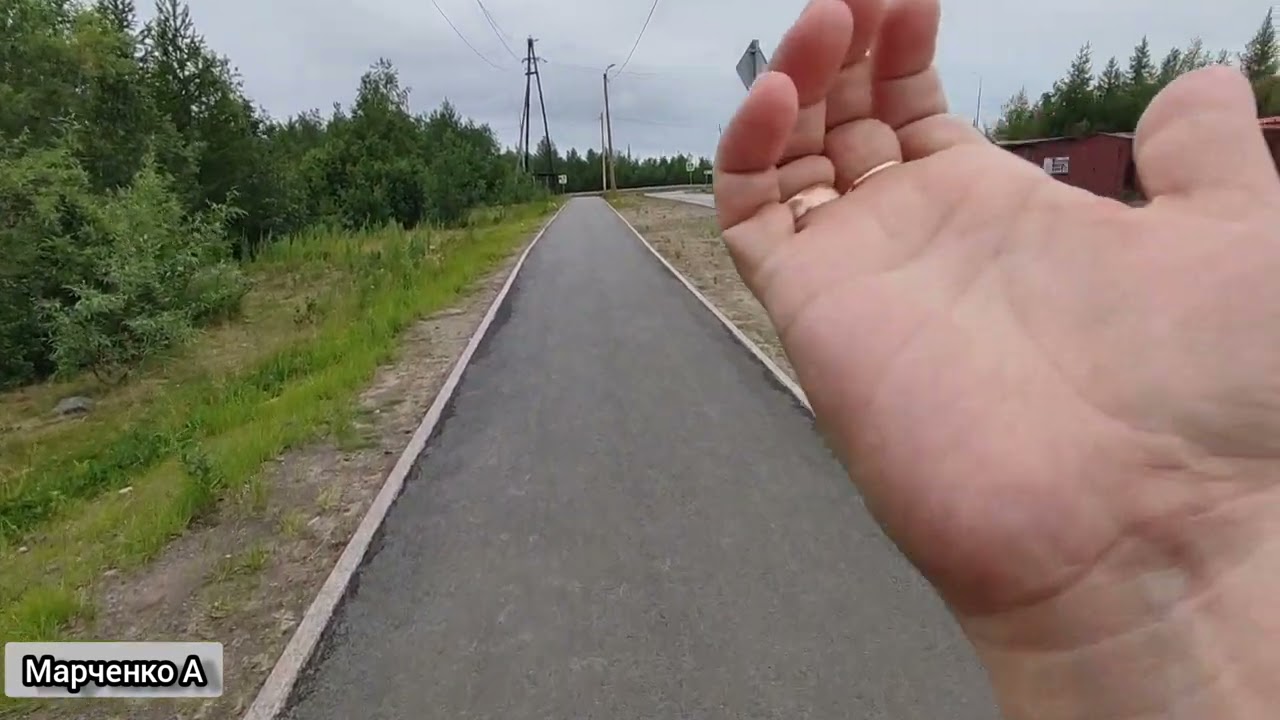 Russia #nord #2023 #лето Ямало-Ненецкий АО город за полярным кругом Лабытнанги. Лес. Июль 2023.