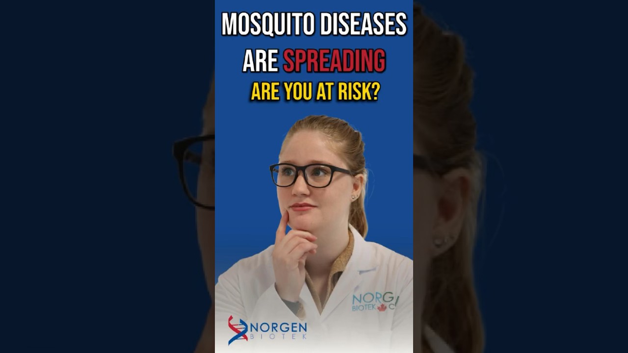 How Mosquitoes Spread Deadly Diseases: What You Need to Know