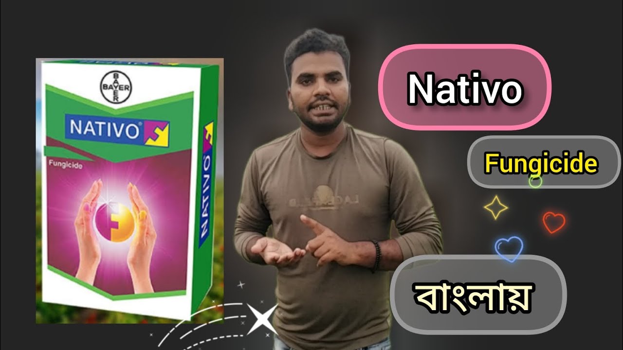 Nativo fungicide।। নাটিভো এর কাজ কি।। নাটিভো ব্যবহারের নিয়ম।। 🚿🚿