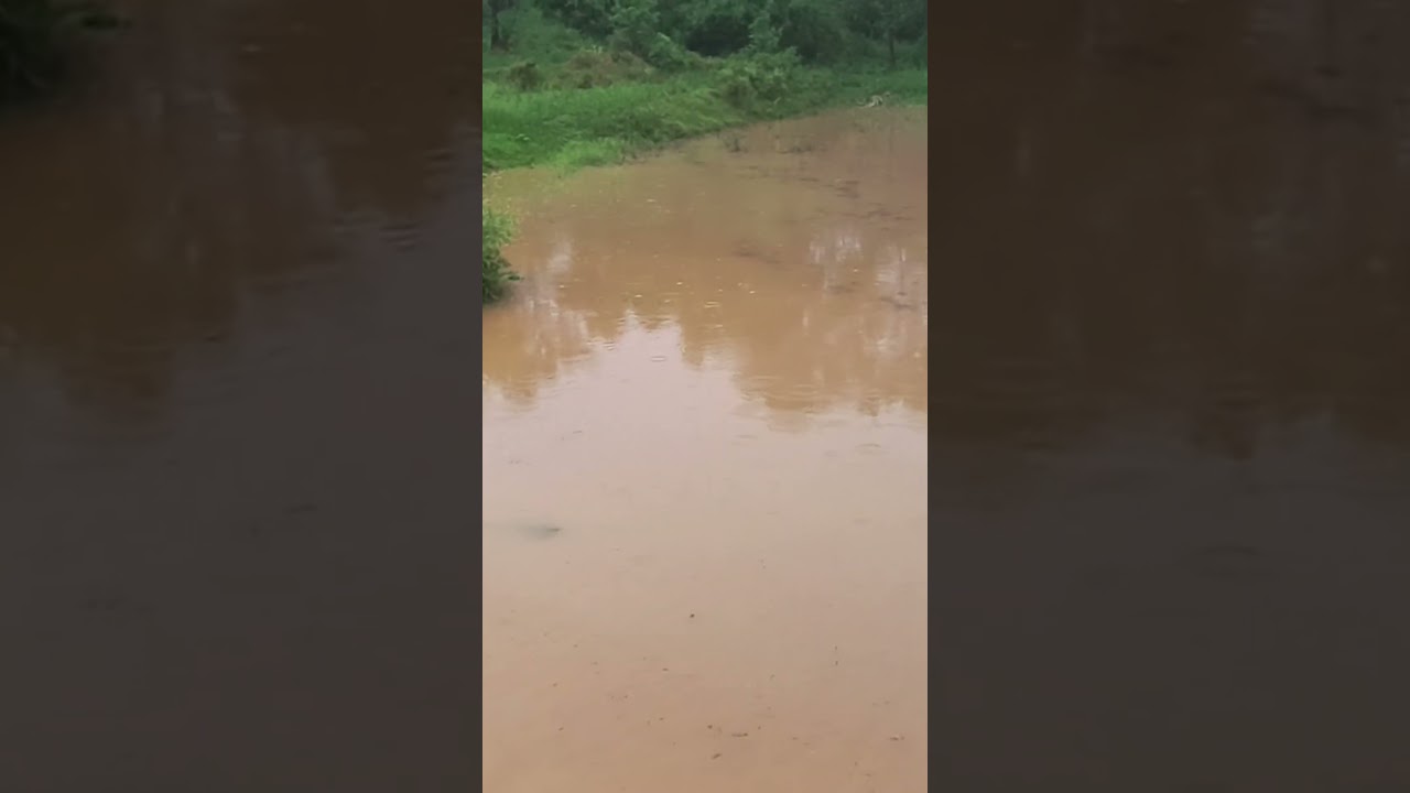 #foryou #funny #earthquake #heavyrain #rains #nepal #barish #floods #flooding #river #viral #shorts
