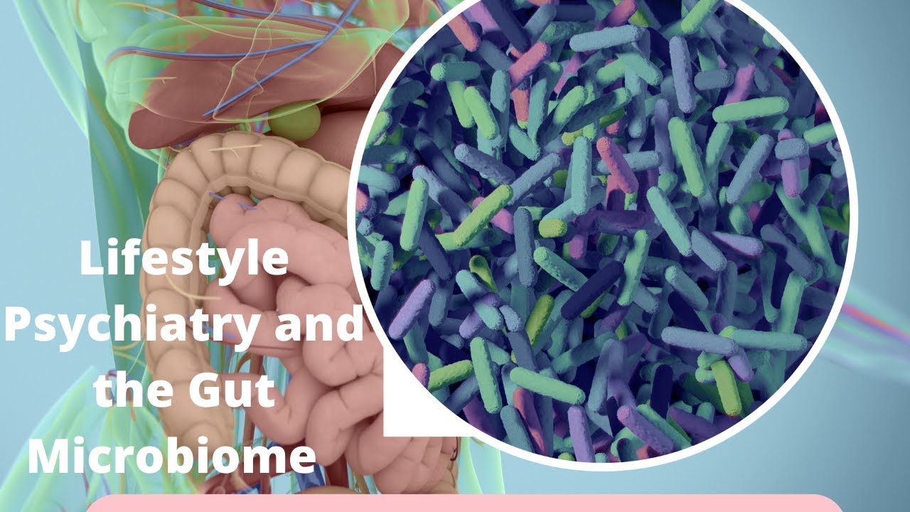 Lifestyle Psychiatry and the Gut Microbiome