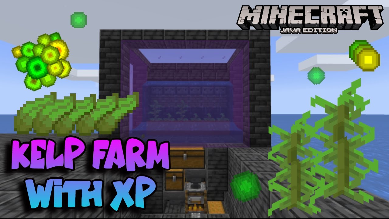 EASY Kelp Farm with XP | Java Minecraft 1.17+